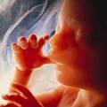 abortion.min.jpg